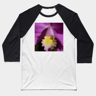Purple & Lemon Orchid Baseball T-Shirt
